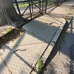Sidewalk Repair at 186 Kent St