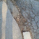 Sidewalk Repair at 51 Bowker St