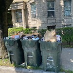 Trash/Recycling at 1200 Beacon St