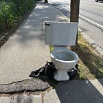 Trash/Recycling at 83 Longwood Ave