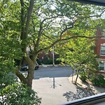 Public Trees at 205 Rawson Rd