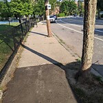 Graffiti at Cypress St @ Franklin St