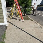 Sidewalk Obstruction at 293 Cypress St