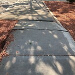 Sidewalk Repair at 17 Alton Pl