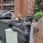 Trash/Recycling at 50 Centre St