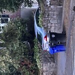 Trash/Recycling at 7 Weybridge Rd