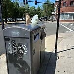 Trash/Recycling at 1388 Beacon St