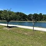 Public Trees at 42.33 N 71.14 W