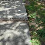 Sidewalk Repair at 42 Corey Rd