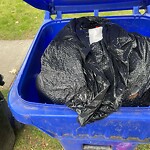 Trash/Recycling at 42.33 N 71.16 W