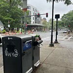 Trash/Recycling at 345 Harvard St