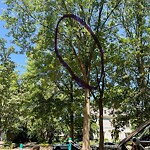 Public Trees at 1–99 Emerson St