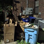 Rodent Issues at 1584 Beacon St, Brookline 02446