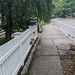 Sidewalk Obstruction at 162 Cypress St