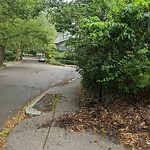 Sidewalk Obstruction at 29 Oakland Rd