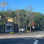 Public Trees at 397 Washington St