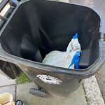 Trash/Recycling at 34 Manchester Rd
