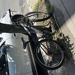 Abandoned Bike at 10 Homer St