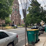 Public Trees at 15 Marion St