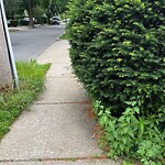 Sidewalk Obstruction at 49 Verndale St