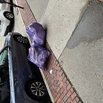 Trash/Recycling at 282 Washington St