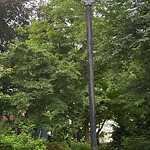 Damaged Sign at 1–99 Royal Rd