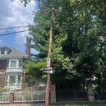 Streetlight at 42.347N 71.110W