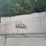 Graffiti at 1600 Beacon St