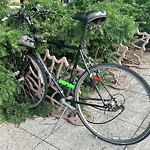 Abandoned Bike at 599 Brookline Ave