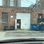 Rodent Issues at 1022 Commonwealth Ave, Boston