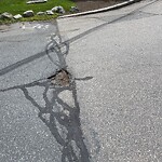 Pothole at 61–99 Randolph Rd, Chestnut Hill