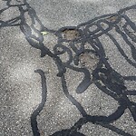 Pothole at 2–76 Lapland St, Chestnut Hill