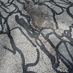 Pothole at 2–76 Lapland St, Chestnut Hill