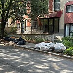Trash/Recycling at 10 University Rd