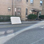 Trash/Recycling at 115 Park St