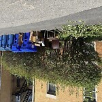 Trash/Recycling at Park Vale