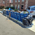 Trash/Recycling at 10 Short St