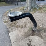 Park Playground at 20–98 Mulford St
