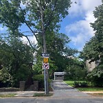 Streetlight at 132–170 Ivy St