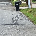 Trash/Recycling at 39 Crowninshield Rd