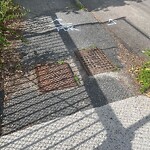 Sidewalk Repair at Sumner Rd