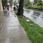 Parking Ticket at 1450 Beacon St