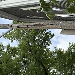 Streetlight at 26 White Pl