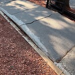 Sidewalk Repair at 20 Alton Pl