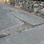 Sidewalk Repair at 21 Penniman Rd