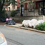 Trash/Recycling at 16 University Rd