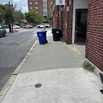 Trash/Recycling at 2–16 Alton Pl