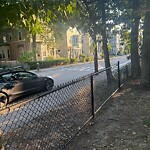 Traffic Signal at 106 Davis Ave