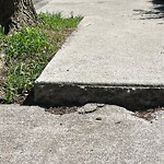 Sidewalk Repair at 86 Toxteth St