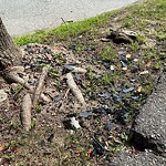 Sidewalk Obstruction at 61 Spooner Rd, Chestnut Hill
